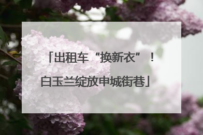 出租车“换新衣”！白玉兰绽放申城街巷