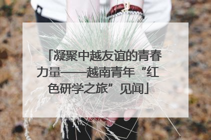 凝聚中越友谊的青春力量——越南青年“红色研学之旅”见闻