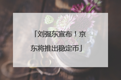刘强东宣布！京东将推出稳定币