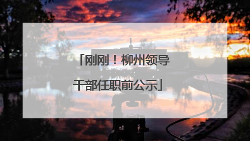 刚刚！柳州领导干部任职前公示
