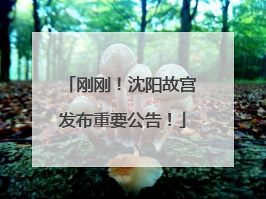 刚刚！沈阳故宫发布重要公告！