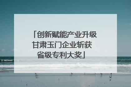 创新赋能产业升级 甘肃玉门企业斩获省级专利大奖