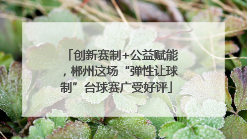 创新赛制+公益赋能，郴州这场“弹性让球制”台球赛广受好评