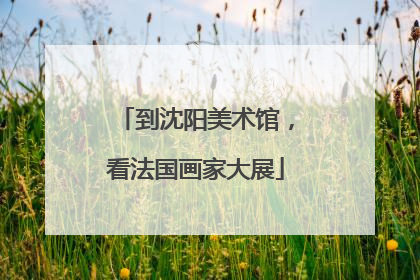 到沈阳美术馆，看法国画家大展
