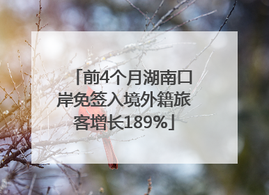 前4个月湖南口岸免签入境外籍旅客增长189%
