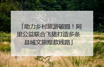 助力乡村旅游破圈！阿里公益联合飞猪打造多条县域文旅爆款线路