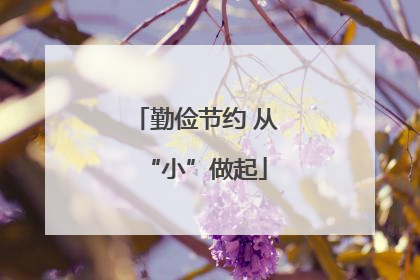 勤俭节约 从“小”做起