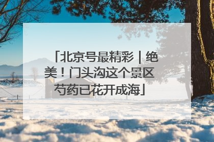 北京号最精彩｜绝美！门头沟这个景区芍药已花开成海
