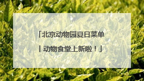 北京动物园夏日菜单丨动物食堂上新啦！