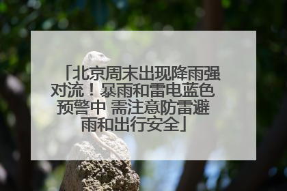 北京周末出现降雨强对流！暴雨和雷电蓝色预警中 需注意防雷避雨和出行安全