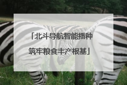 北斗导航智能播种 筑牢粮食丰产根基