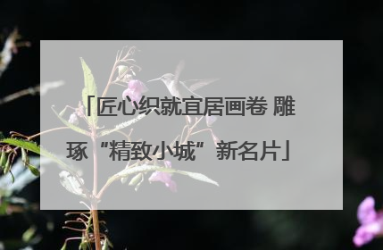 匠心织就宜居画卷 雕琢“精致小城”新名片