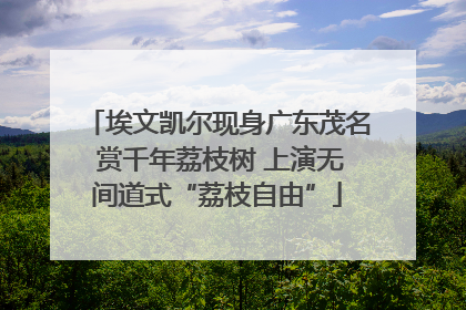 埃文凯尔现身广东茂名 赏千年荔枝树 上演无间道式“荔枝自由”