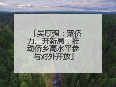 吴厚强：聚侨力、开新局，推动侨乡高水平参与对外开放