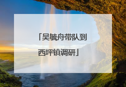 吴毓舟带队到西坪镇调研