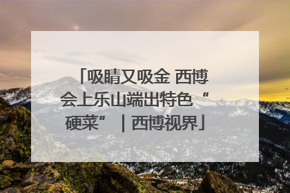 吸睛又吸金 西博会上乐山端出特色“硬菜”｜西博视界