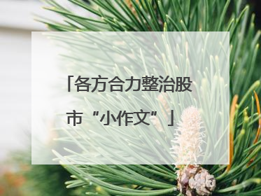 各方合力整治股市“小作文”