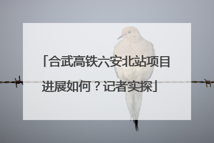 合武高铁六安北站项目进展如何？记者实探