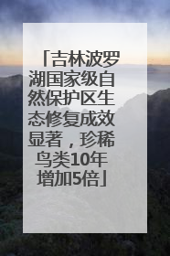 吉林波罗湖国家级自然保护区生态修复成效显著，珍稀鸟类10年增加5倍