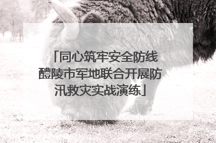 同心筑牢安全防线 醴陵市军地联合开展防汛救灾实战演练