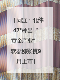 同江：北纬47°种出“黄金产业” 软枣猕猴桃9月上市