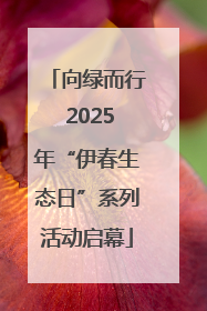 向绿而行 2025年“伊春生态日”系列活动启幕