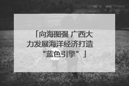 向海图强 广西大力发展海洋经济打造“蓝色引擎”