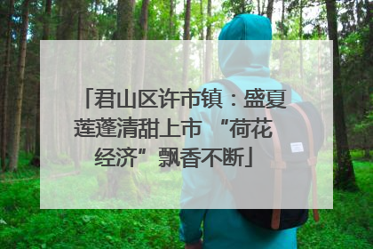 君山区许市镇：盛夏莲蓬清甜上市 “荷花经济”飘香不断