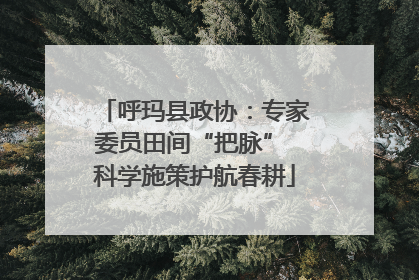 呼玛县政协：专家委员田间“把脉” 科学施策护航春耕