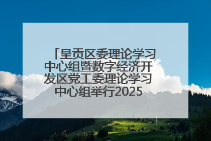 呈贡区委理论学习中心组暨数字经济开发区党工委理论学习中心组举行2025年第七次学习会议