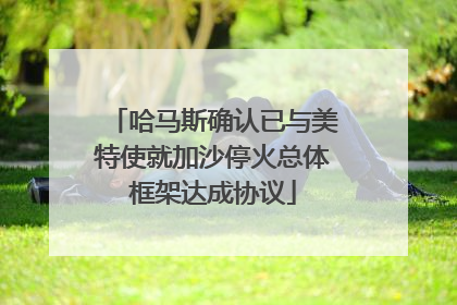 哈马斯确认已与美特使就加沙停火总体框架达成协议