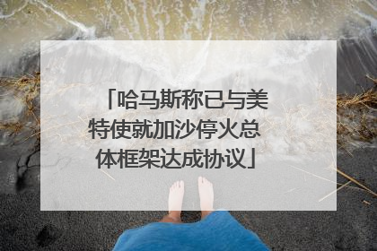 哈马斯称已与美特使就加沙停火总体框架达成协议