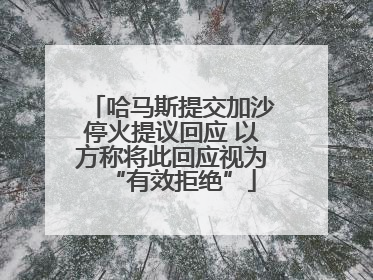 哈马斯提交加沙停火提议回应 以方称将此回应视为“有效拒绝”