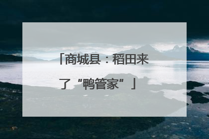 商城县：稻田来了“鸭管家”