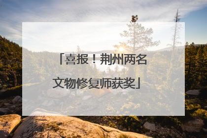 喜报！荆州两名文物修复师获奖