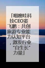 嗯噢哇科技CEO窦飞鹏：共创旅游专业能力认知平台，激发行业“自生长”力量
