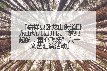 嘉祥县卧龙山街道卧龙山幼儿园开展“梦想起航，童心飞扬”六一文艺汇演活动