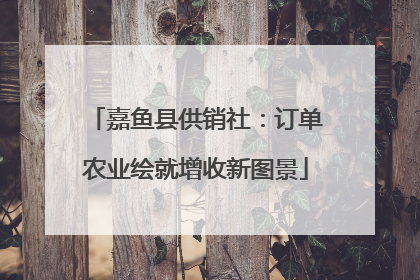 嘉鱼县供销社：订单农业绘就增收新图景