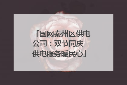 国网秦州区供电公司：双节同庆 供电服务暖民心