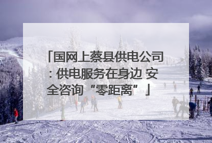 国网上蔡县供电公司：供电服务在身边 安全咨询“零距离”