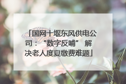 国网十堰东风供电公司：“数字反哺” 解决老人度夏缴费难题