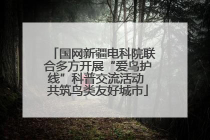 国网新疆电科院联合多方开展“爱鸟护线”科普交流活动 共筑鸟类友好城市