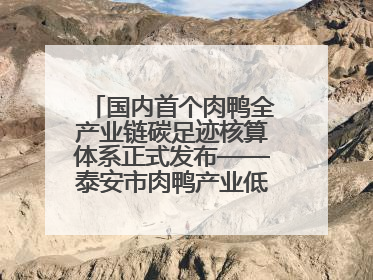 国内首个肉鸭全产业链碳足迹核算体系正式发布——泰安市肉鸭产业低碳发展标准示范项目顺利通过验收