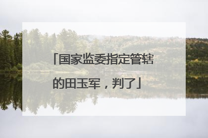 国家监委指定管辖的田玉军，判了