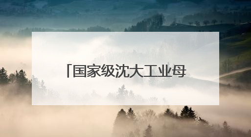 国家级沈大工业母机集群对接会举办
