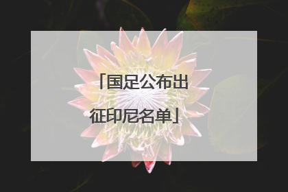 国足公布出征印尼名单