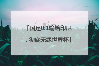 国足0:1输给印尼，彻底无缘世界杯