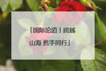 国际论道丨跨越山海 携手同行