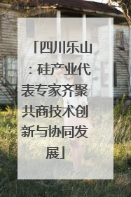 四川乐山：硅产业代表专家齐聚共商技术创新与协同发展