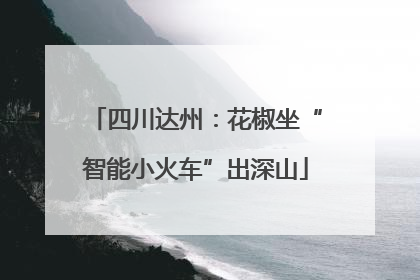 四川达州：花椒坐“智能小火车”出深山